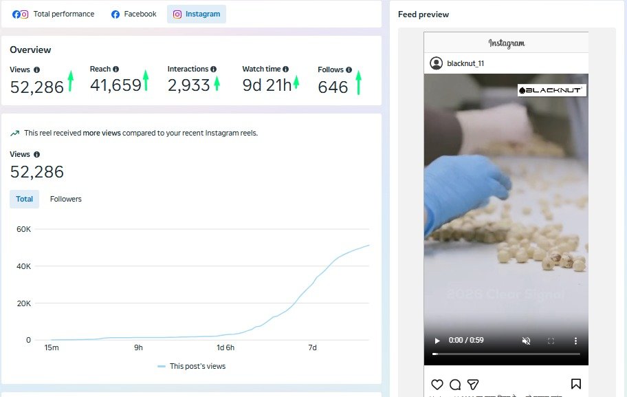 SEMrush Domain Overview 1